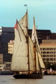Tall Ship